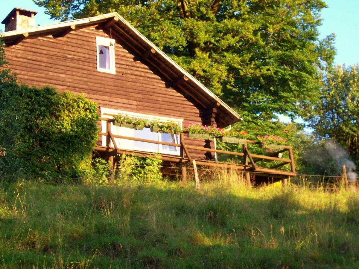 Open Wooden Chalet Built Against A Hill Francorchamps Eksteriør billede